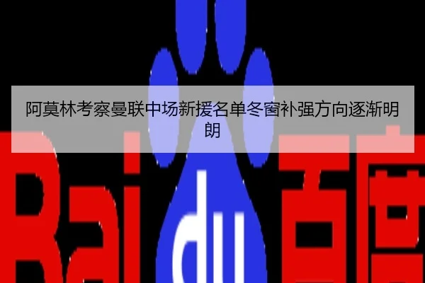 阿莫林考察曼联中场新援名单冬窗补强方向逐渐明朗